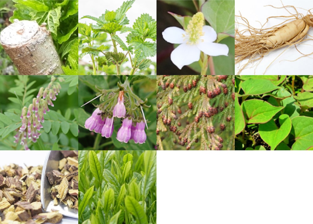 敏感な頭皮のために厳選 天然由来の成分配合